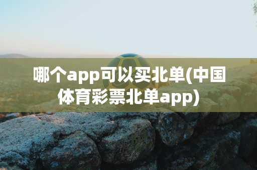 哪个app可以买北单(中国体育彩票北单app)