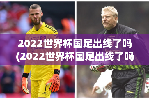 2022世界杯国足出线了吗(2022世界杯国足出线了吗知乎)