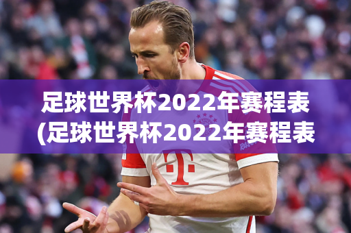 足球世界杯2022年赛程表(足球世界杯2022年赛程表格)