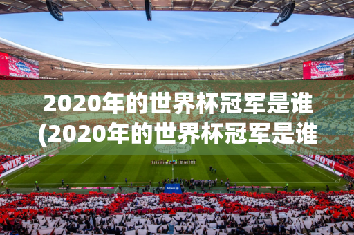 2020年的世界杯冠军是谁(2020年的世界杯冠军是谁啊)