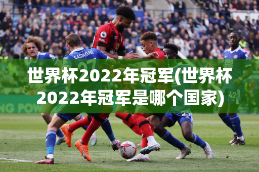 世界杯2022年冠军(世界杯2022年冠军是哪个国家)