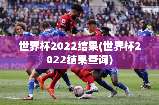 世界杯2022结果(世界杯2022结果查询)