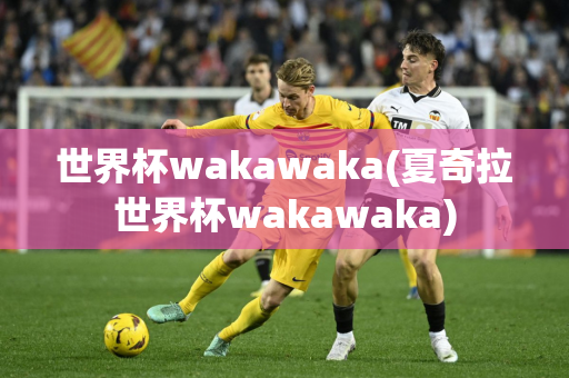 世界杯wakawaka(夏奇拉世界杯wakawaka)