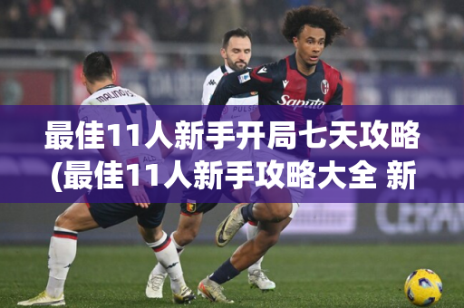 最佳11人新手开局七天攻略(最佳11人新手攻略大全 新手怎么玩)