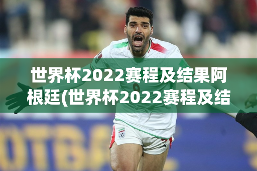 世界杯2022赛程及结果阿根廷(世界杯2022赛程及结果阿根廷时间)