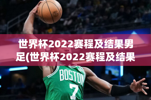 世界杯2022赛程及结果男足(世界杯2022赛程及结果男足比赛)