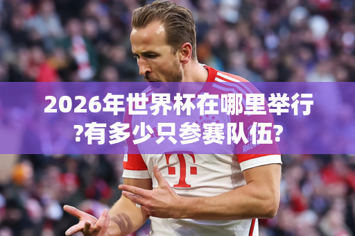 2026年世界杯在哪里举行?有多少只参赛队伍?