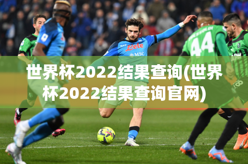 世界杯2022结果查询(世界杯2022结果查询官网)