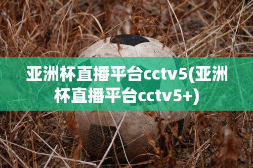 亚洲杯直播平台cctv5(亚洲杯直播平台cctv5+)