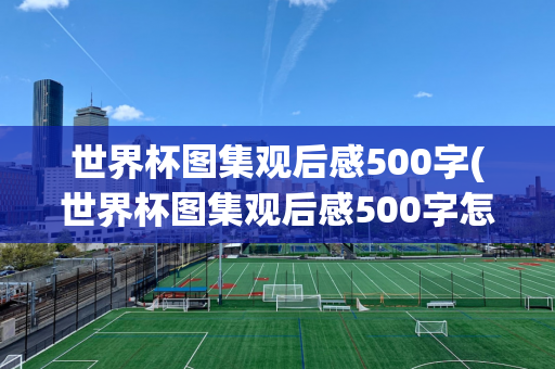 世界杯图集观后感500字(世界杯图集观后感500字怎么写)