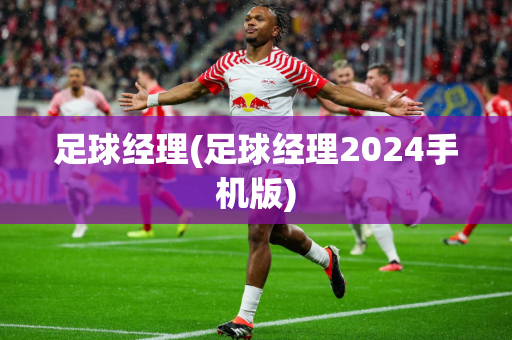 足球经理(足球经理2024手机版)