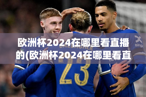 欧洲杯2024在哪里看直播的(欧洲杯2024在哪里看直播的)