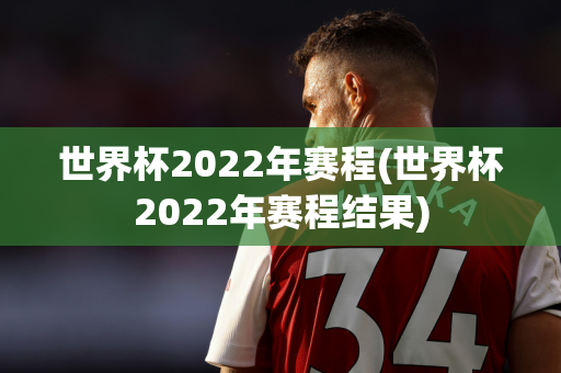 世界杯2022年赛程(世界杯2022年赛程结果)