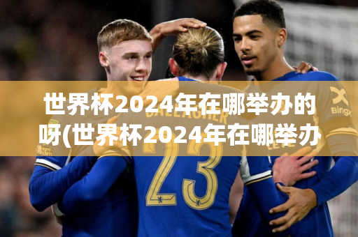 世界杯2024年在哪举办的呀(世界杯2024年在哪举办的呀)