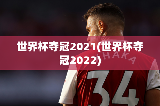 世界杯夺冠2021(世界杯夺冠2022)