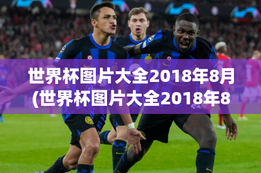 世界杯图片大全2018年8月(世界杯图片大全2018年8月12日)