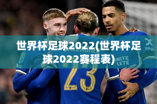 世界杯足球2022(世界杯足球2022赛程表)