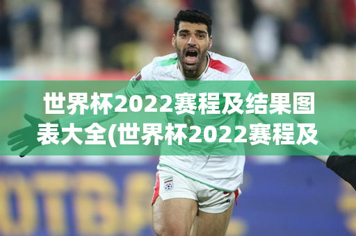 世界杯2022赛程及结果图表大全(世界杯2022赛程及结果图表大全集)