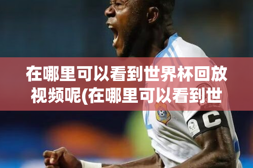 在哪里可以看到世界杯回放视频呢(在哪里可以看到世界杯回放视频呢英文)