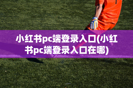 小红书pc端登录入口(小红书pc端登录入口在哪)