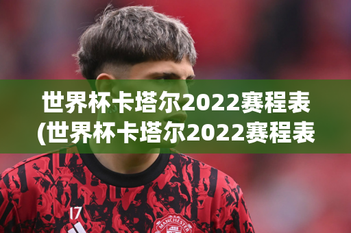 世界杯卡塔尔2022赛程表(世界杯卡塔尔2022赛程表比分)