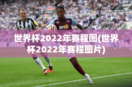 世界杯2022年赛程图(世界杯2022年赛程图片)